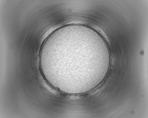 X0000093110890200710241239