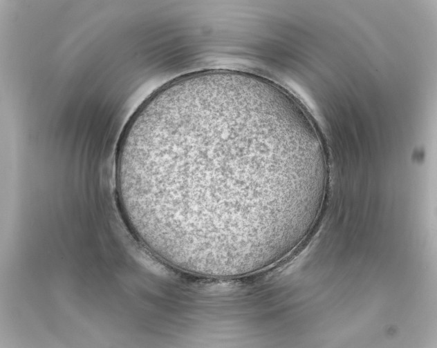 X0000093110891200710241239