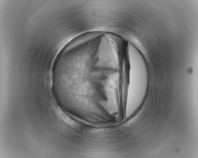 X0000093110892200710241239