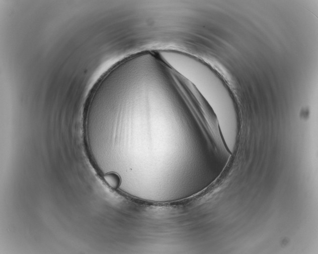 X0000093110894200710241239