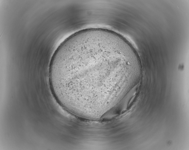 X0000093110895200710241239