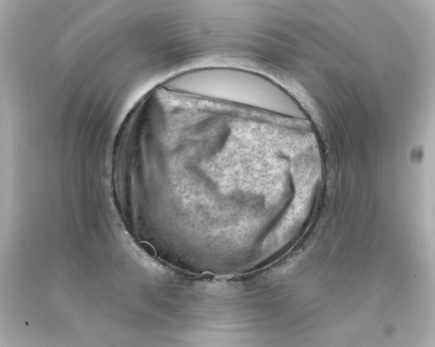 X0000093110896200710241239