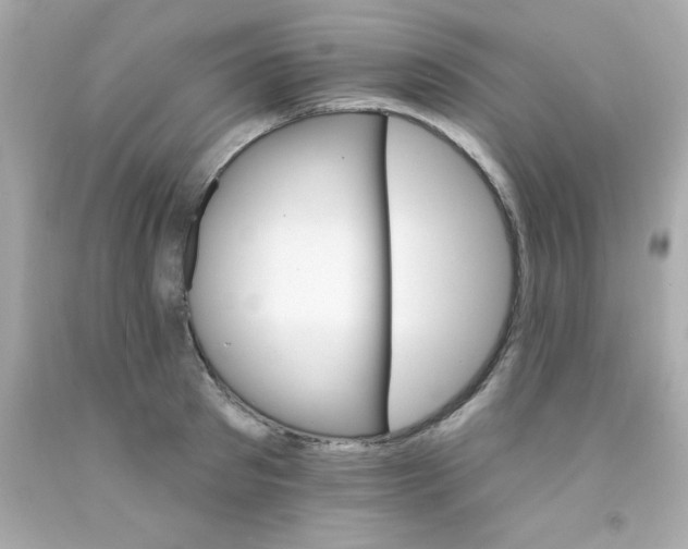 X0000093110897200710241239