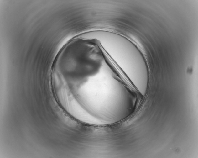 X0000093110899200710241239