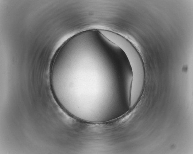 X0000093110902200710241239