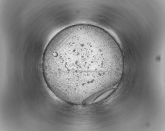 X0000093110903200710241239