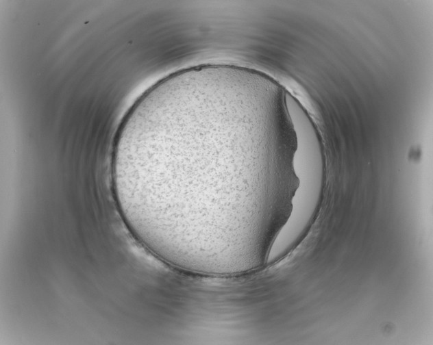 X0000093110904200710241239