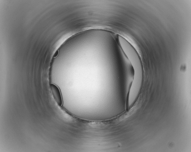 X0000093110906200710241239