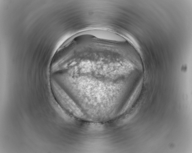 X0000093110907200710241239