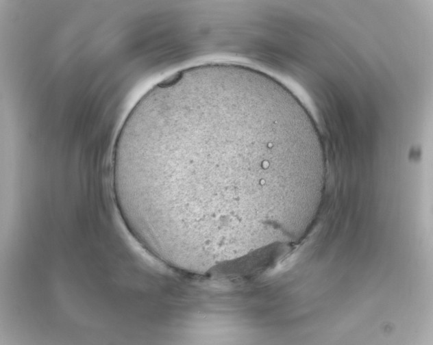 X0000093110911200710241239