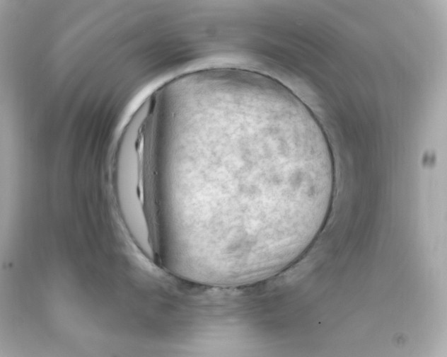 X0000093110912200710241239