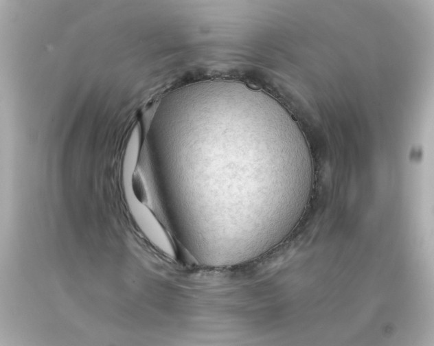 X0000093110914200710241238