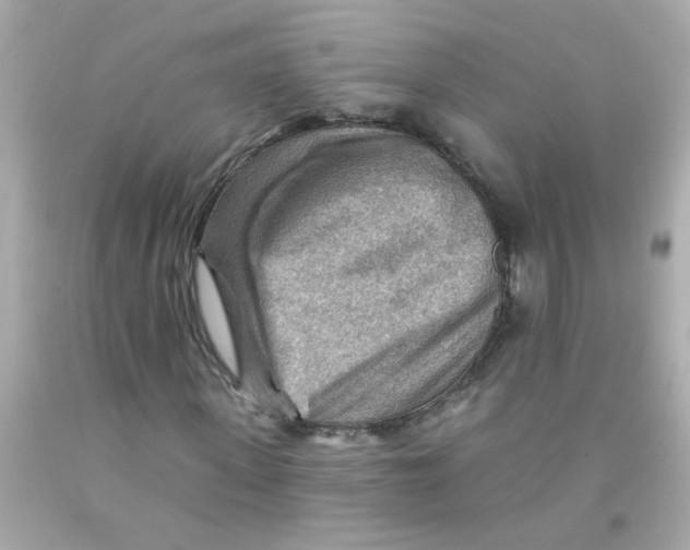 X0000093110915200710241238