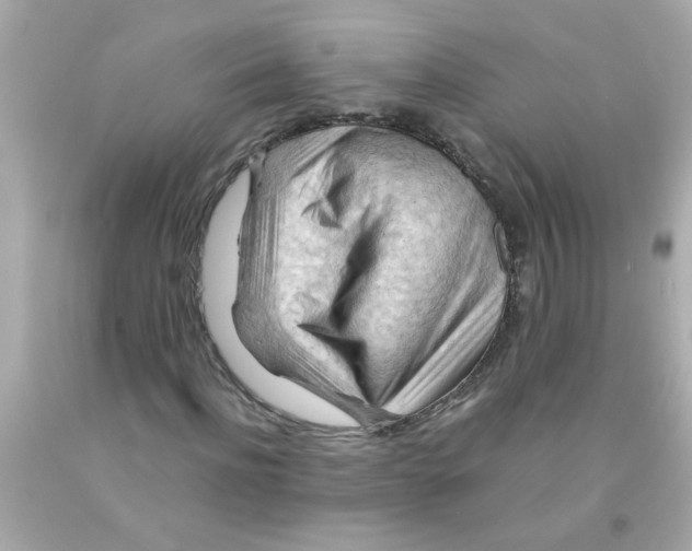 X0000093110916200710241238