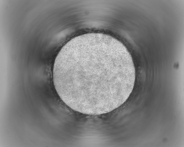 X0000093110918200710241238