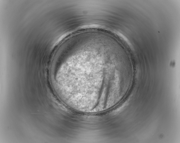 X0000093110921200710241239