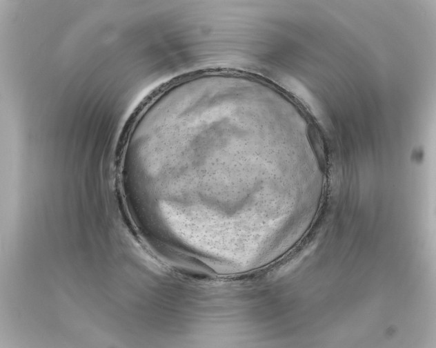 X0000093110924200710241239