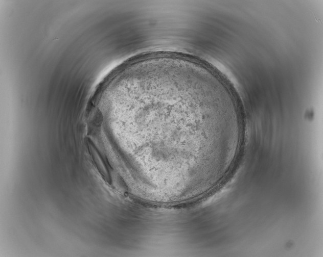 X0000093110925200710241239