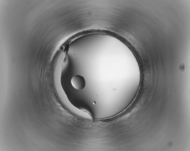 X0000093110926200710241239