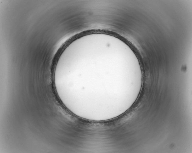 X0000093110927200710241239