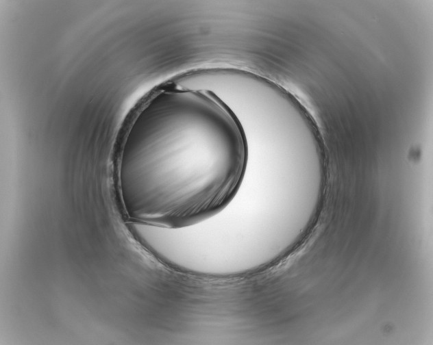 X0000093110928200710241239