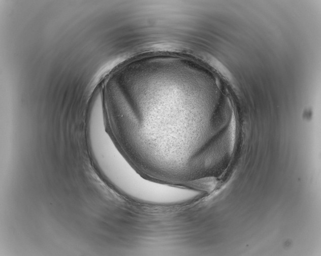 X0000093110930200710241239