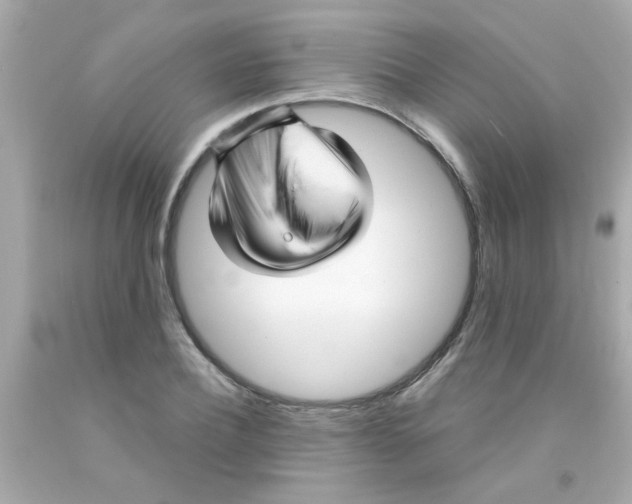 X0000093110932200710241239