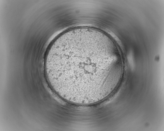 X0000093110933200710241239