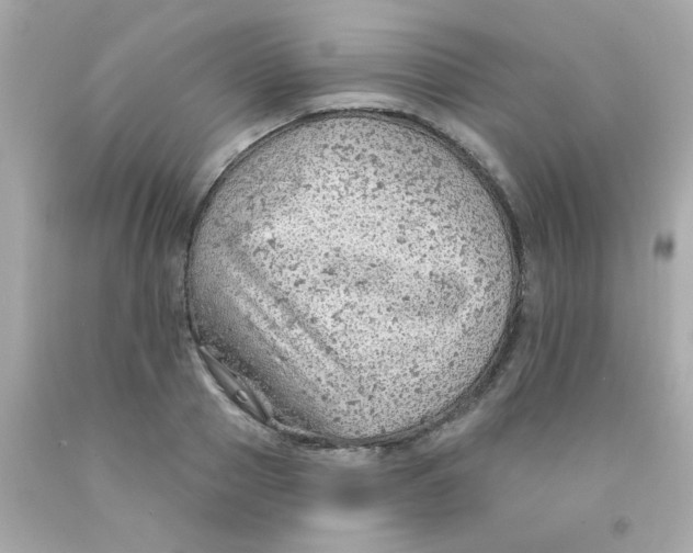 X0000093110937200710241239