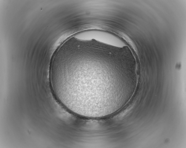 X0000093110938200710241239