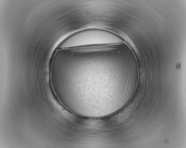 X0000093110939200710241239