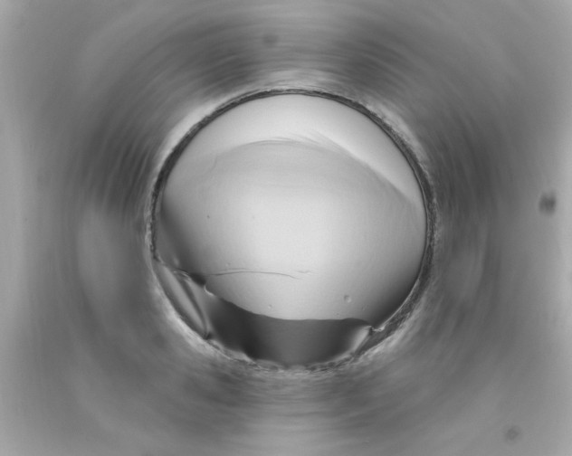 X0000093110941200710241239