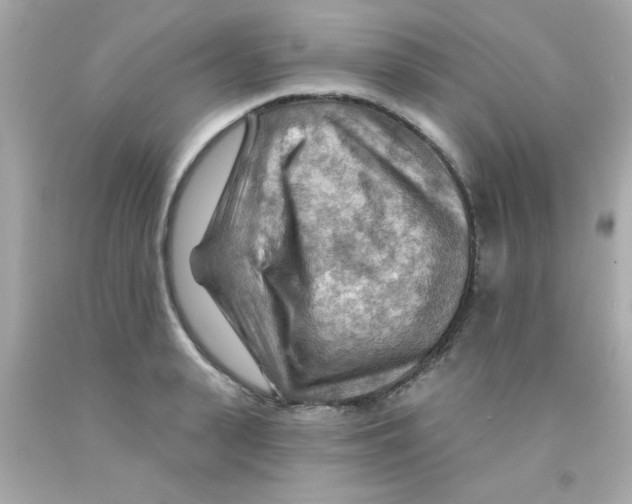 X0000093110943200710241239