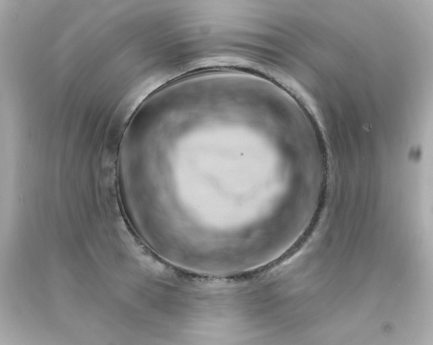 X0000093110945200710241239