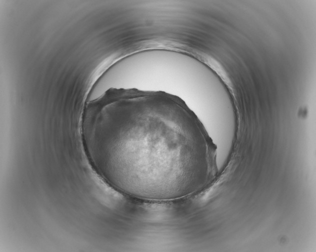 X0000093110946200710241239