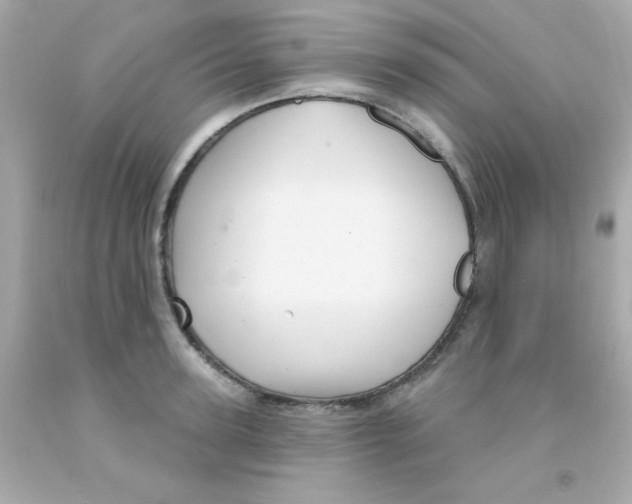 X0000093110947200710241239