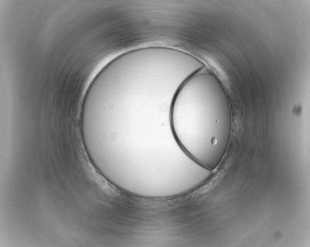 X0000093110948200710241239