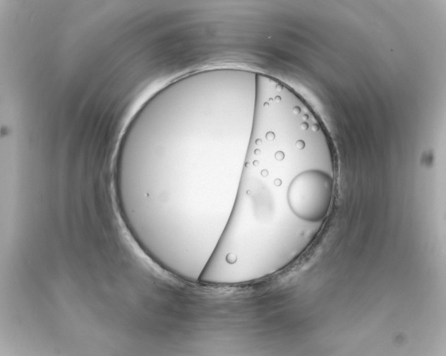 X0000093110949200710241239