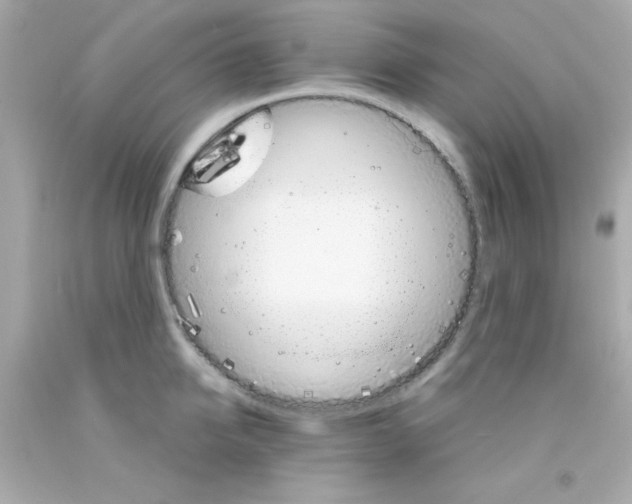 X0000093110950200710241239