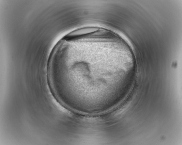 X0000093110951200710241239