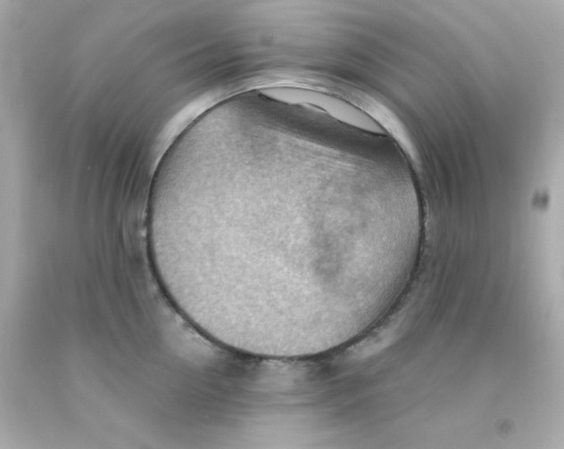 X0000093110954200710241239