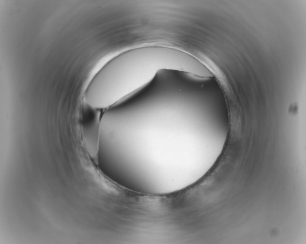 X0000093110956200710241239