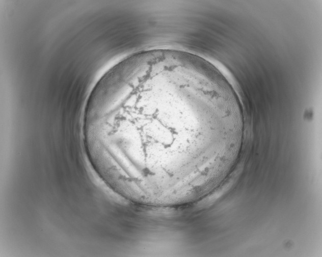 X0000093110957200710241239