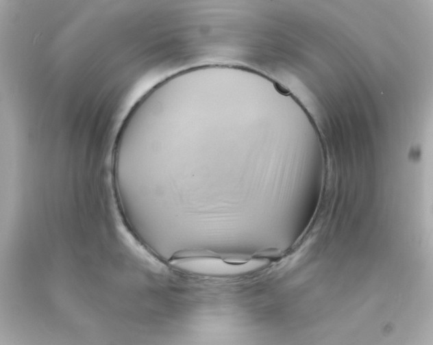 X0000093110958200710241239