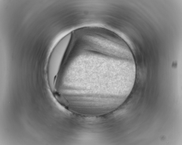 X0000093110959200710241239