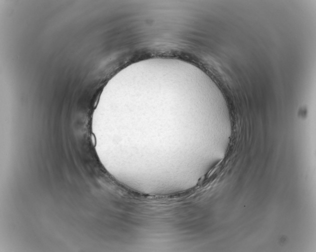 X0000093110964200710241238