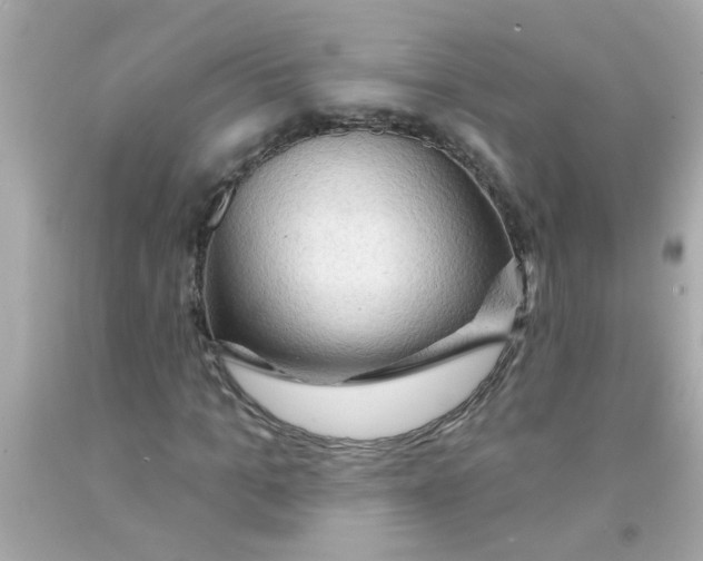 X0000093110965200710241238