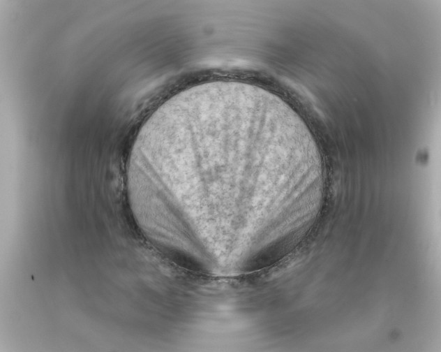 X0000093110966200710241238