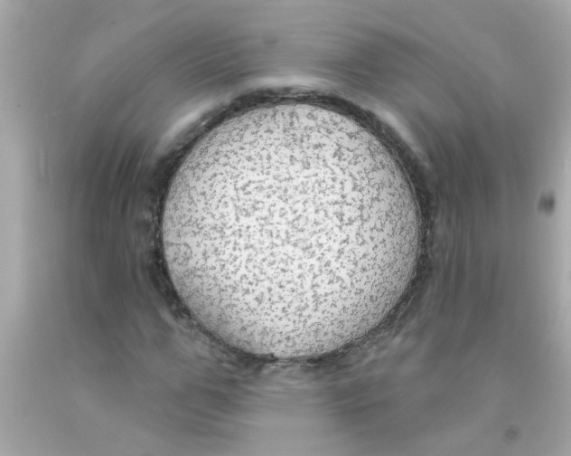 X0000093110967200710241238