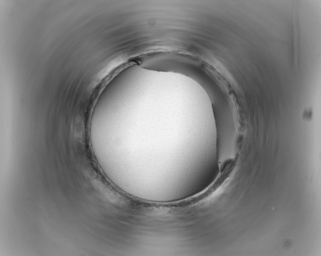 X0000093110969200710241238